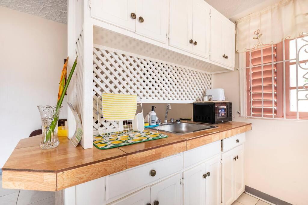 Shaw Park Gem Apt 12A Ocho Rios Zewnętrze zdjęcie